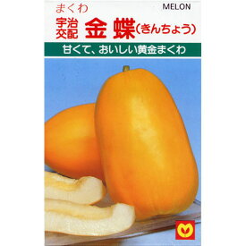 楽天市場 まくわうりの通販