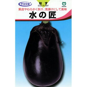 Ȃ  y̏z 45 i   ؎q ؎ j