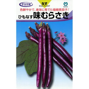 Ȃ  yނ炳z 40 i   ؎q ؎ j