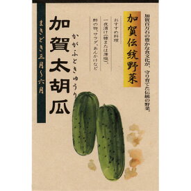 楽天市場 加賀 太 きゅうり 種の通販