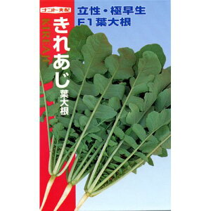 t卪  y ꂠ z q ܁i15mlj i   ؎q ؎ j