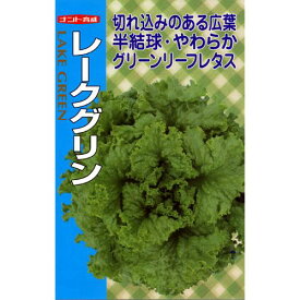 レタス 種 【 レークグリン 】 種子 小袋（約1ml） （ 種 野菜 野菜種子 野菜種 ）