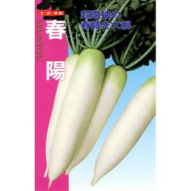 大根 種 【 春陽 】 種子 小袋（約2ml） （ 種 野菜 野菜種子 野菜種 ）