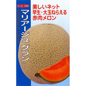   y }A[WO z (5) ( ̎ )