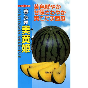 XCJ  y ܔP (݂Ђ) z ܁i7j ( XCJ̎ )