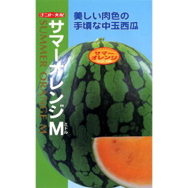 スイカ 種 【 サマーオレンジM (ミドル) 】 小袋(7粒) ( スイカの種 )