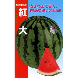 XCJ  y g z (7) ( XCJ̎ )