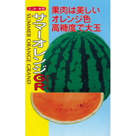スイカ 種 【 サマーオレンジGR (グランド) 】 小袋(7粒) ( スイカの種 )