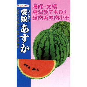 XCJ  y  z (7) ( XCJ̎ )