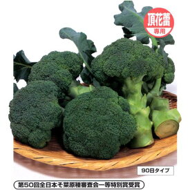 ブロッコリー 種 【 ピクセル 】 種子 2000粒 （ 種 野菜 野菜種子 野菜種 ）