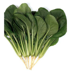   y킩݁z 2dl i   ؎q ؎ j 