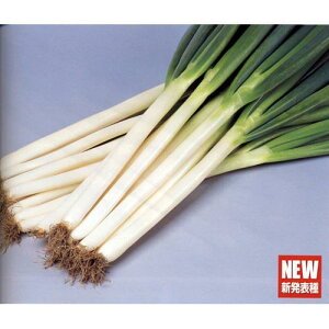 lM  y Đp[ z q 1dl i   ؎q ؎ j