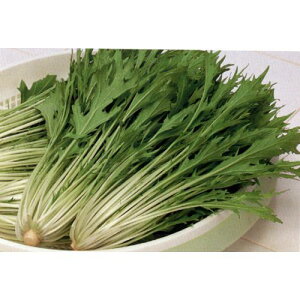   y V z q 2dl i   ؎q ؎ j