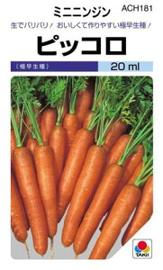 ɂ񂶂  y sbR z q ܁i20mlj i   ؎q ؎ j 