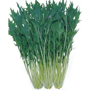   y ݂ z q 2dl i   ؎q ؎ j