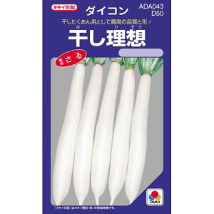 卪  y ϕaz z q ܁i18mlj i   ؎q ؎ j