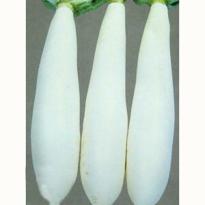 卪  y ӂ z q 2dl i   ؎q ؎ j