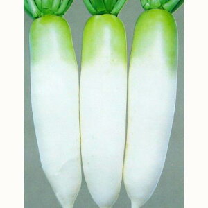 卪  y ΋P z q 2dl i   ؎q ؎ j