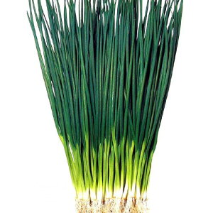 lM  y t z q 2dl i   ؎q ؎ j