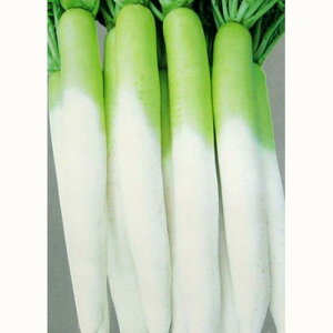 卪  y ϕa{d z q 2dl i   ؎q ؎ j