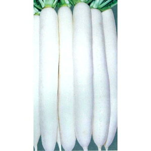 卪  y VB z q ܁i2dlʁj i   ؎q ؎ j