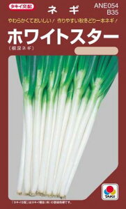 lM  yzCgX^[z ybg200 i   ؎q ؎ j 