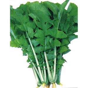 t卪  y tY z q 2dl i   ؎q ؎ j