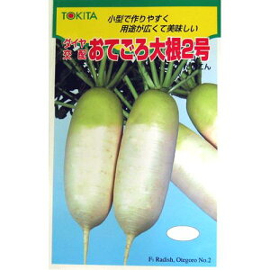 卪  y Ă卪2 z q 2dL i   ؎q ؎ j