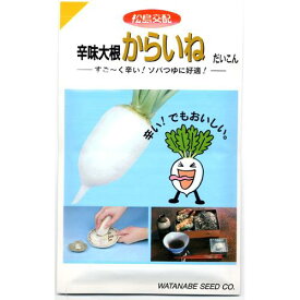 大根 種 【 からいね 】 小袋（6ml） ( 大根の種 )