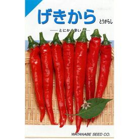 唐辛子 種 【 げきから 】 小袋（1．5ml） ( 唐辛子の種 )