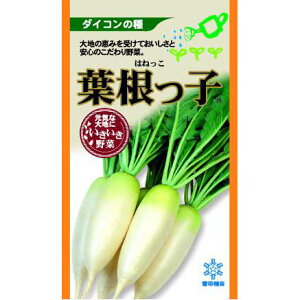 卪  y tq z q ܁i2mlj i   ؎q ؎ j 