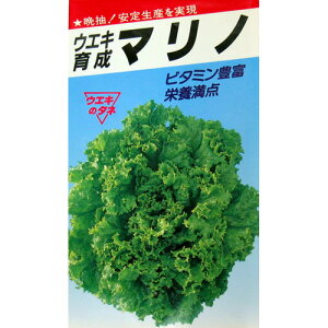 ^X  y O[[t}m z q ܁i1.5mlj i   ؎q ؎ j