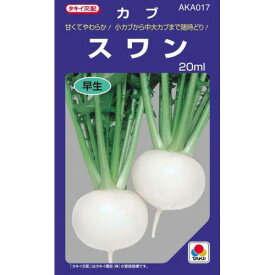 カブ 種 【 スワン 】 種子 小袋（約20ml） （ 種 野菜 野菜種子 野菜種 ）