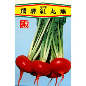 Ju  yˍgۂԁz ܁i10mlj i   ؎q ؎ j