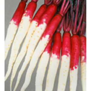 Ju  y؂ԁz ܁i50mlj i   ؎q ؎ j