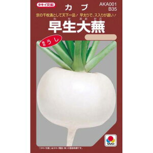 Ju  y 啓 z (RF 3.5ml) ( Ju̎ )