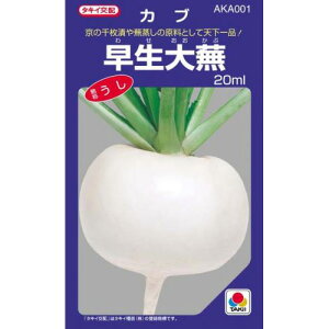 カブ 種 【 早生大蕪 】 種子 小袋(約20ml) ( 種 野菜 野菜種子 野菜種 )