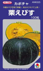 �J�{�`�� �� �y �I���т� �z ����(DF 19��) ( �J�{�`���̎� )