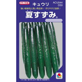 きゅうり 種 【 夏すずみ 】 小袋(DF 15粒) ( きゅうりの種 )