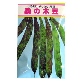 雑豆 種 【 桑の木豆 】 種子 小袋（約15ml） （ 種 野菜 野菜種子 野菜種 ）