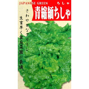 ^X  y߂񂿂z 2ml i   ؎q ؎ j