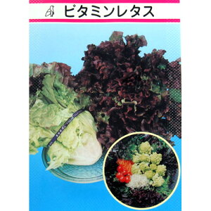 ^X  yr^~^Xz  i   ؎q ؎ j