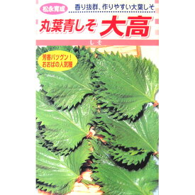 しそ 種 【 丸葉青しそ大高 】 種子 小袋（約5ml） （ 種 野菜 野菜種子 野菜種 ）