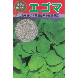 楽天市場 エゴマ 栽培 種の通販