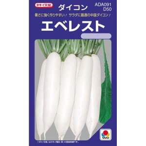 大根 種 【 エベレスト 】 小袋(DF 19ml) ( 大根の種 )