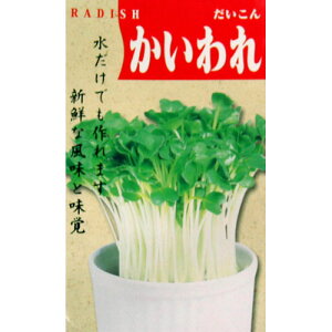 XvEg  y卪@z  i   ؎q ؎ j