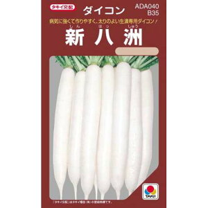 卪  y VB z (RF 9ml) ( 卪̎ )