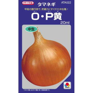 ܂˂  yOPz 20ml i   ؎q ؎ j 