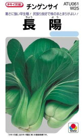 ちんげん菜 種 【 長陽 】 小袋 GF ( ちんげん菜の種 )