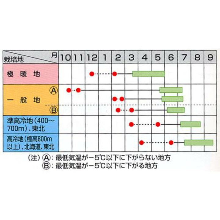 楽天市場】スナップエンドウ 種 【スナック】 小袋 ( 種 野菜 野菜種子 野菜種 ) : 【菜園くらぶ】家庭菜園の専門店 楽天市場】スナップエンドウ 種 【スナック】 小袋 ( 種 野菜 野菜種子 野菜種 ) : 【菜園くらぶ】家庭菜園の専門店